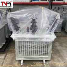 Single phase 10kV Oil Immersed Transformer